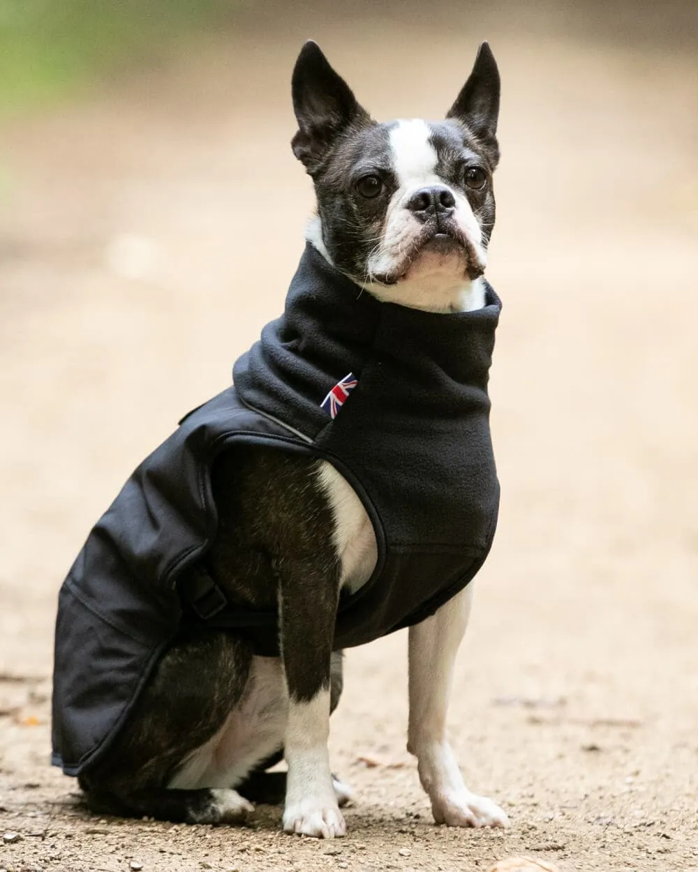 Thermal Self Heating Dog Jacket - Black