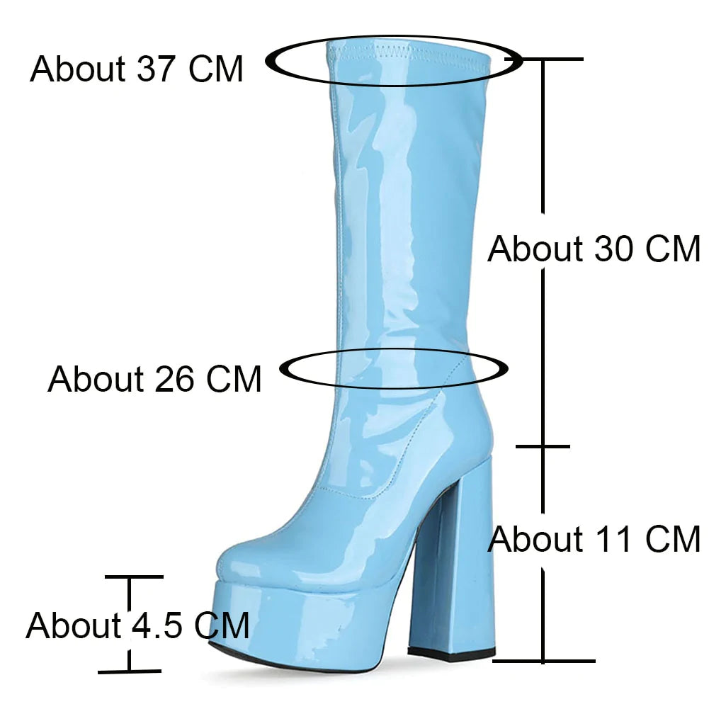 Women's Sexy Blue Color Square Heel Platform Gothic Boot Shoes